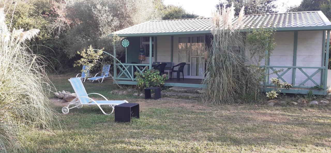 Praticcioni Villa Linguizzetta Bagian luar foto